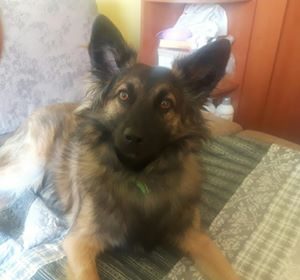 KACPER dawniej COLIN