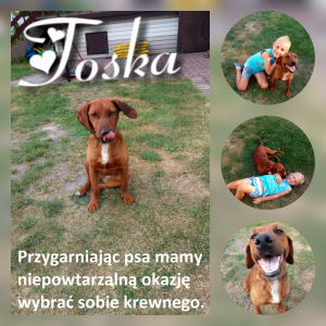 TOSKA