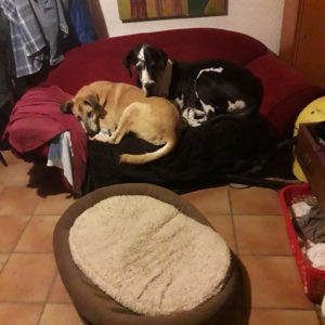 BUSZMEN