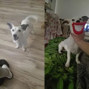 Natka