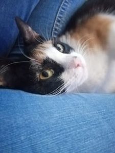 Emilka