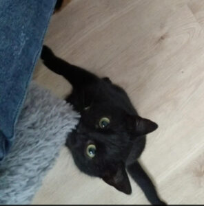 SALEM