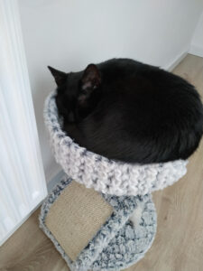 SALEM